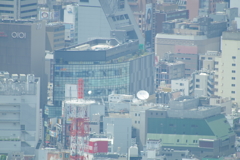 なんばEDION