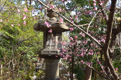 初梅④堀越神社