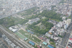 天王寺公園+天王寺動物園+一心寺