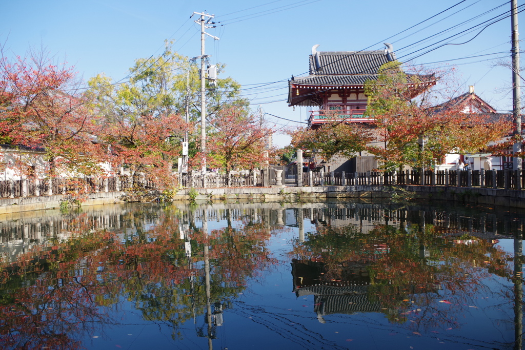 天王寺界隈・秋 ④
