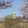 天守閣と桜③