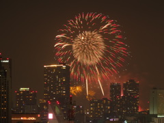 Osaka City HANABI 03