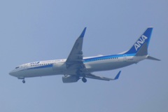 Boeing 737-881 ANA