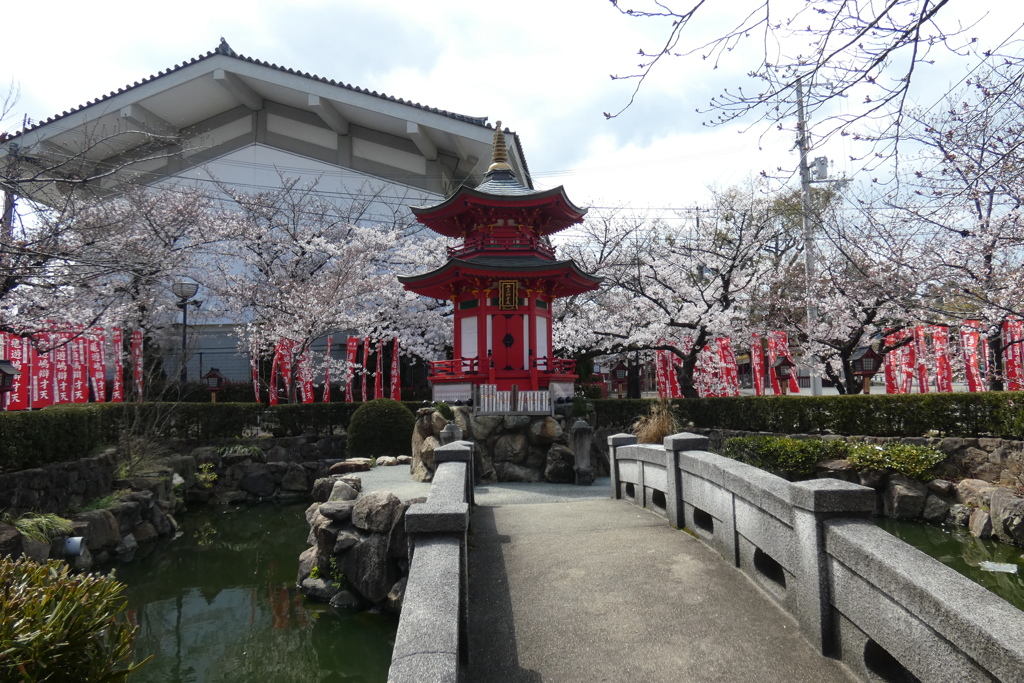 辨天堂と染井吉野