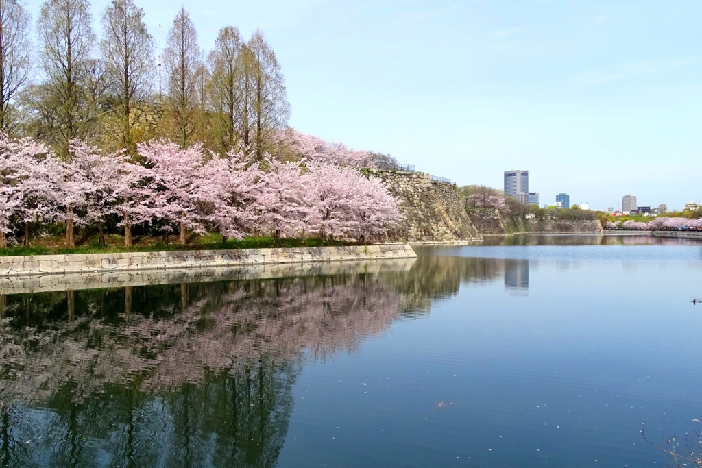 4月、桜並木と石垣