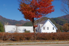 青空と白い家と紅葉