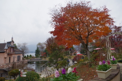 河口湖オルゴールの森美術館 5
