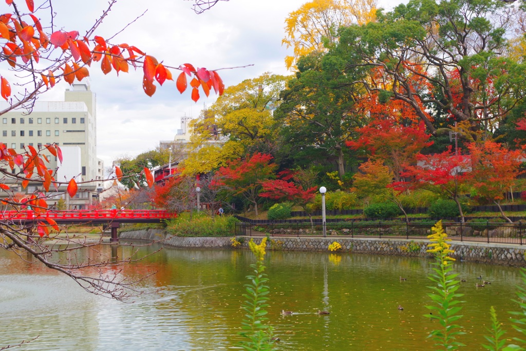 紅葉最終の段⑤