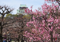2月、異国の人の梅花見