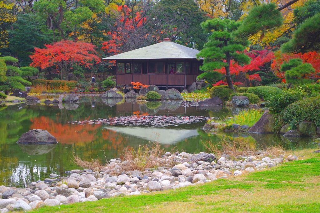 慶沢園最秋章④