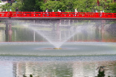 浮き上がったような橋