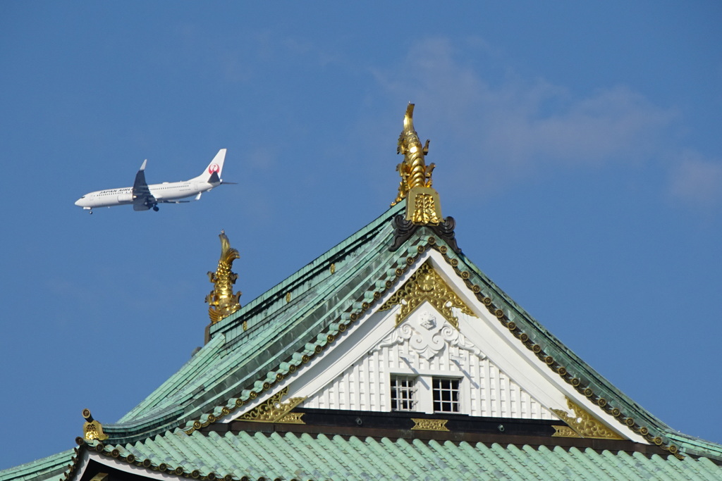 Boeing 737と鯱