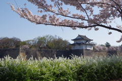 一番櫓と桜と雪柳