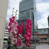立葵とハルカス