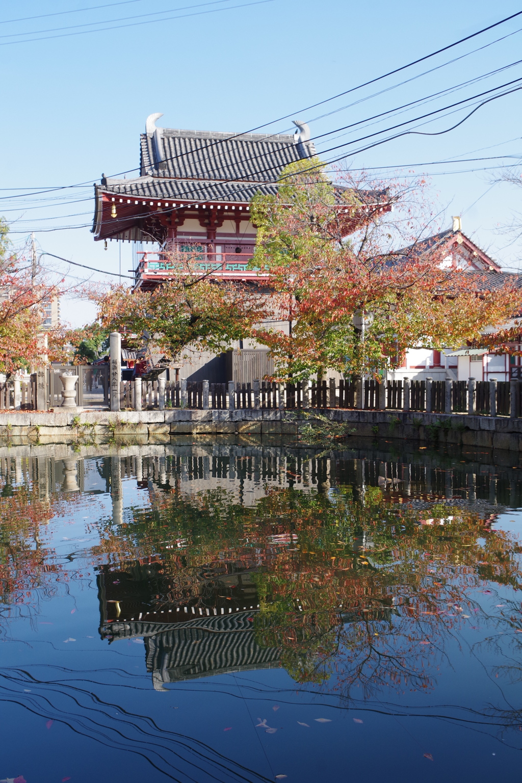 天王寺界隈・秋 ⑤