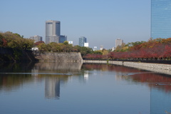 外堀桜葉紅葉