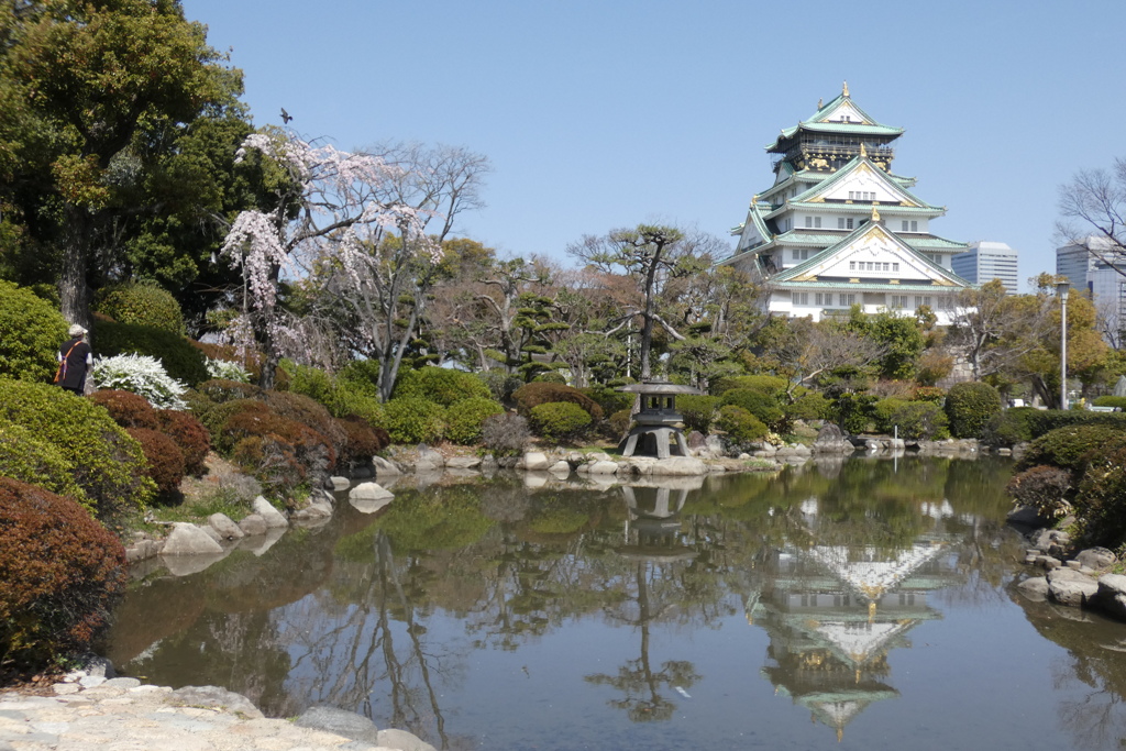 枝垂桜と大阪城天守閣