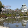 枝垂桜と大阪城天守閣