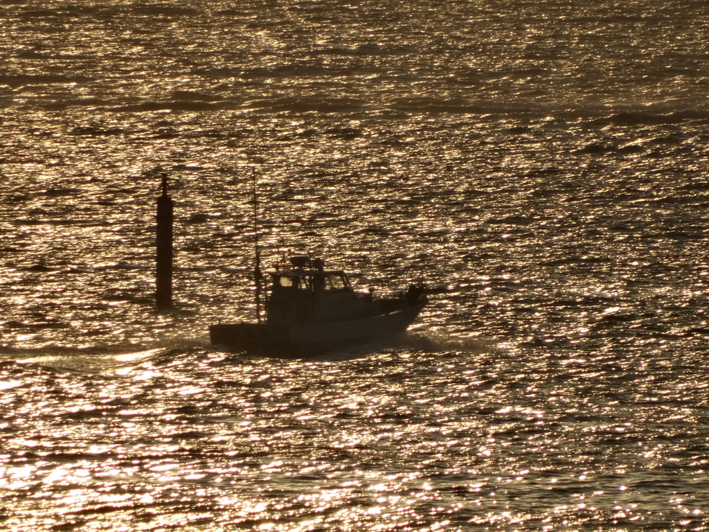 光る海