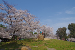 お山の大将二人