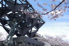 仁王門と染井吉野