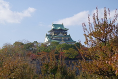梅の葉紅葉-大阪城公園