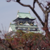 梅と天守閣①