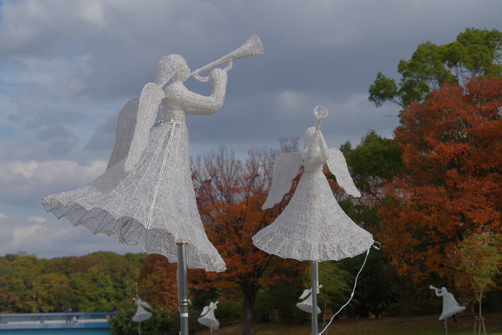 冬空の天使達