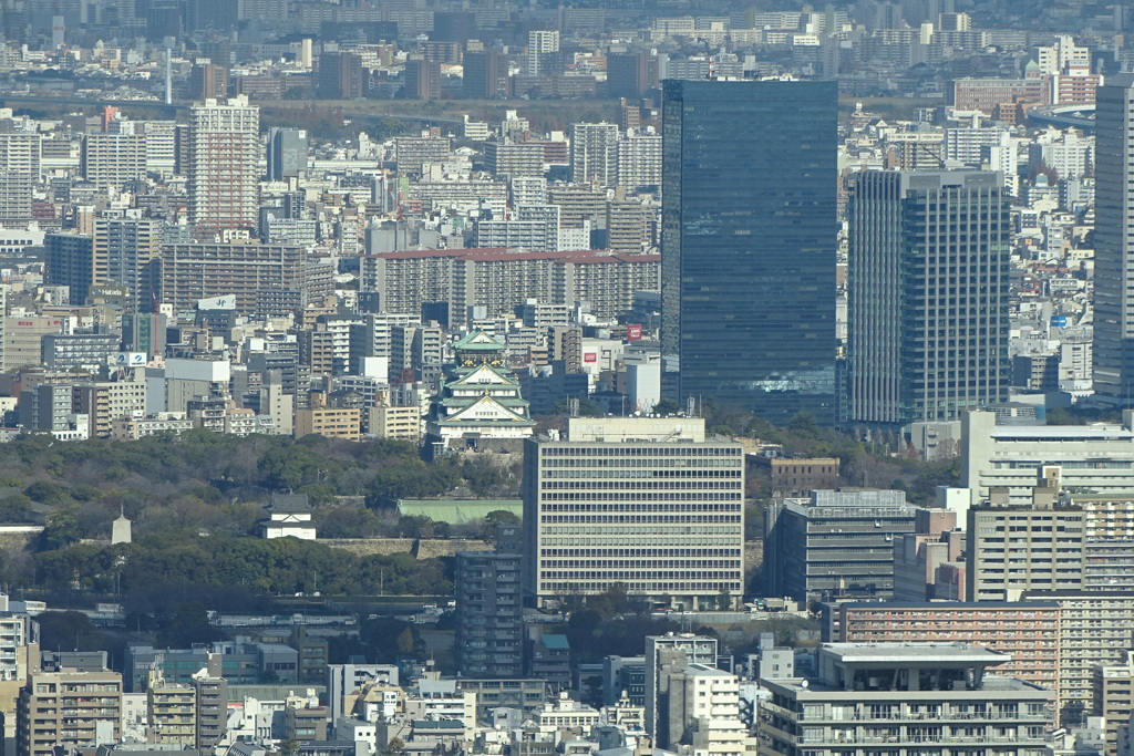 ハルカス300から大阪城と商業ビル群