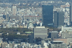ハルカス300から大阪城と商業ビル群