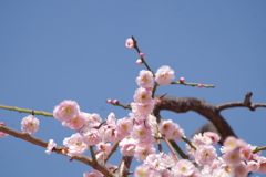 いい加減にしろ！④