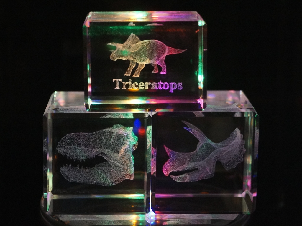 Triceratops A
