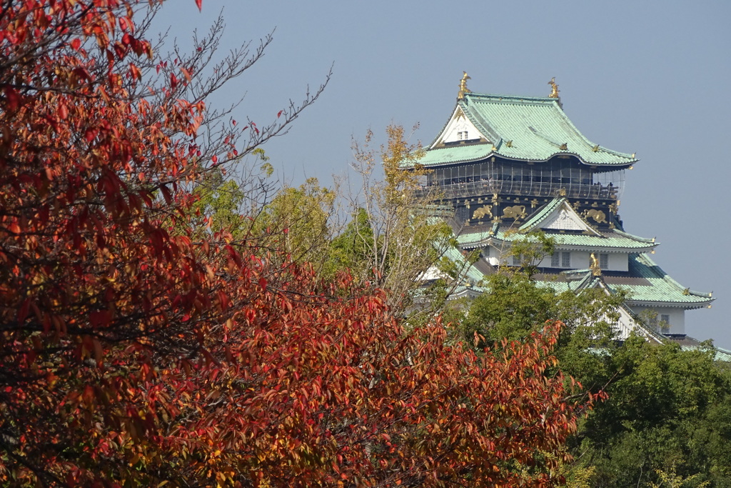 桜葉紅葉と天守閣