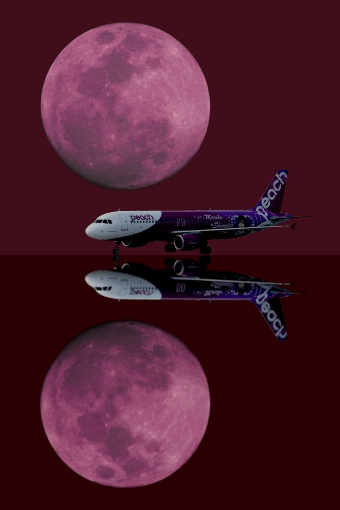 12 Wine Red Night (エアーショー)