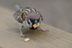 近すぎ。