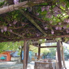藤-四天王寺庚申堂