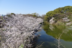 茶臼山と一心寺