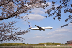 さくらの山公園