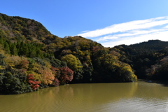 秋の亀山湖
