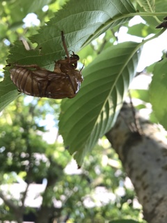 夏の終わり