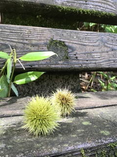 夏の終わり