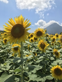 開聞岳
