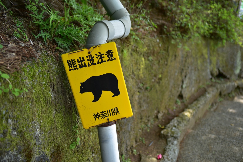 熊注意！