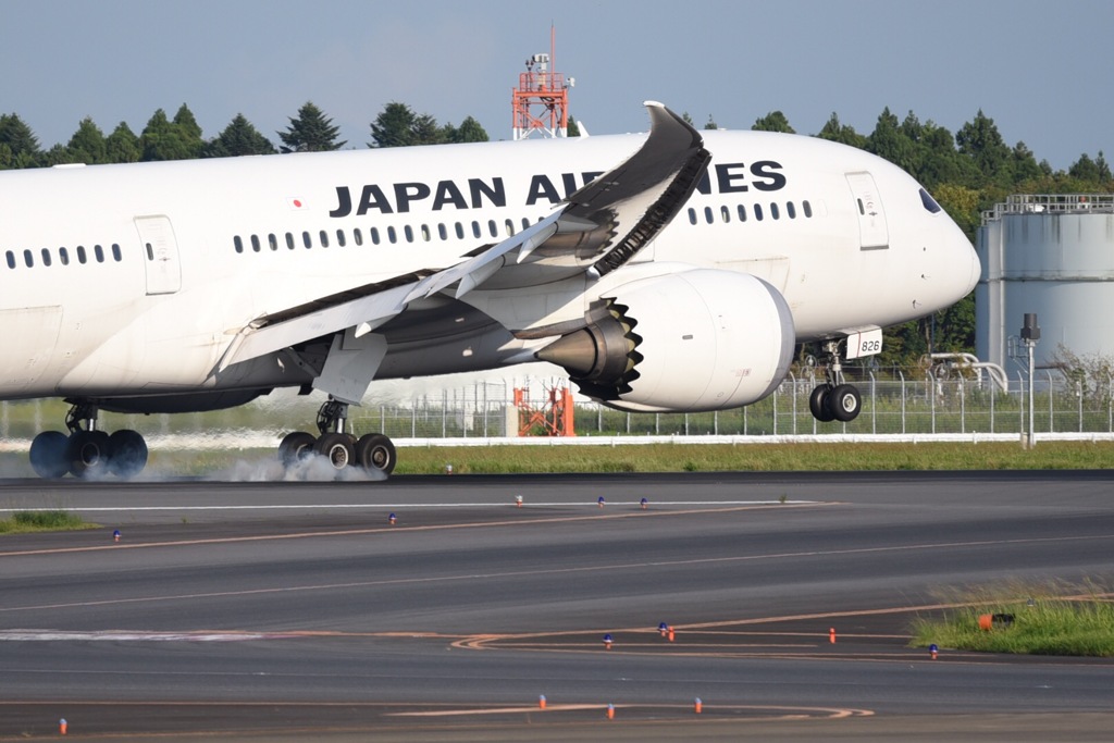 JAL 