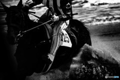 さがら草競馬