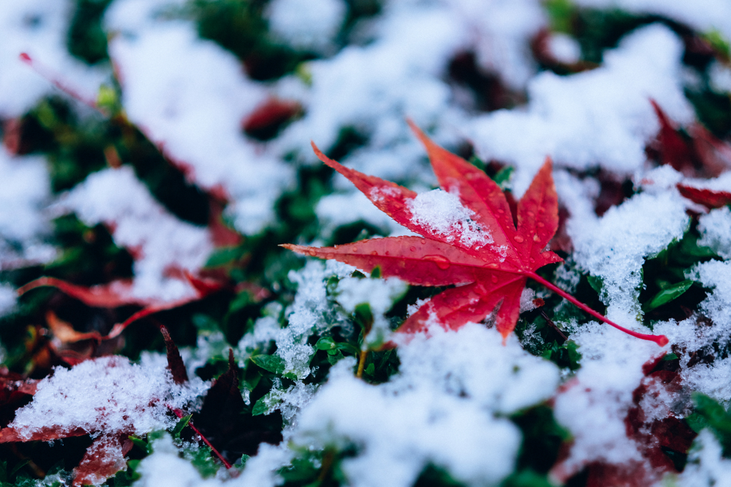 初雪 。