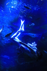 人魚