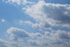 雲