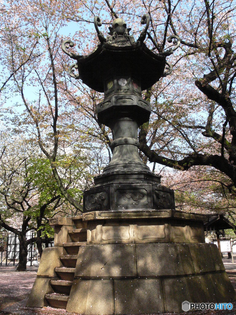 P1110056
