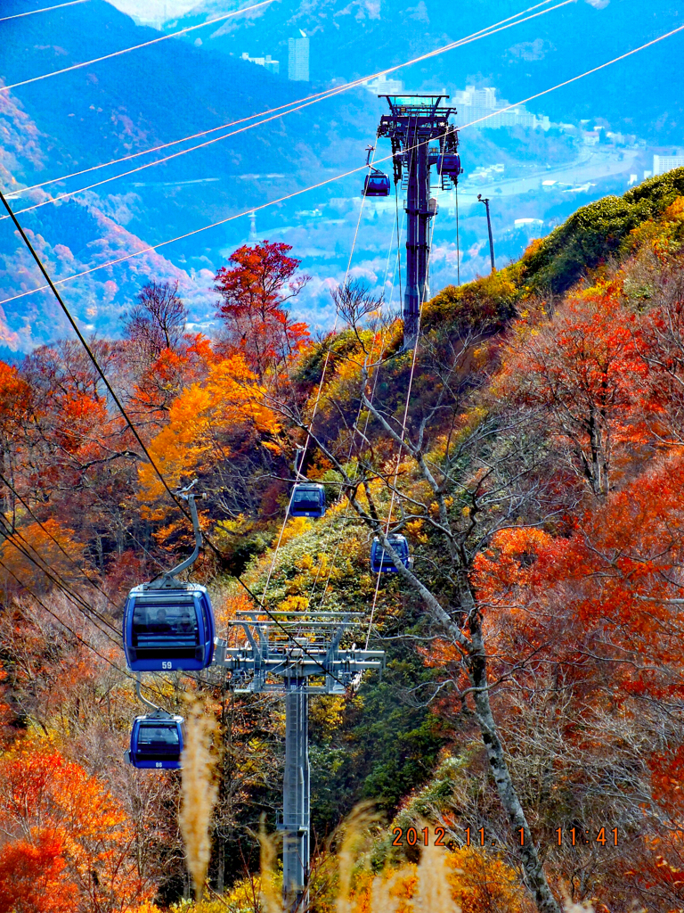 紅葉2012